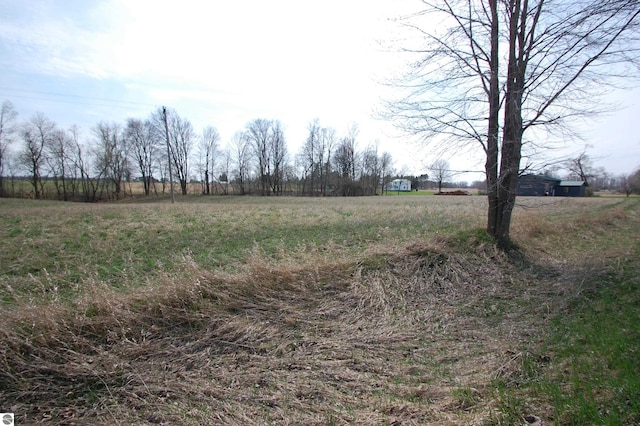 5525 S Mccauley Rd, Alger, MI 48610 - view of yard with a rural view