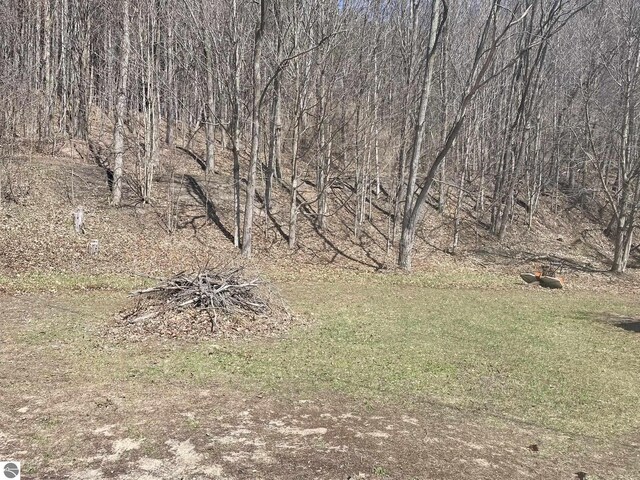10978 Platte St, Honor, MI 49640 - view of yard