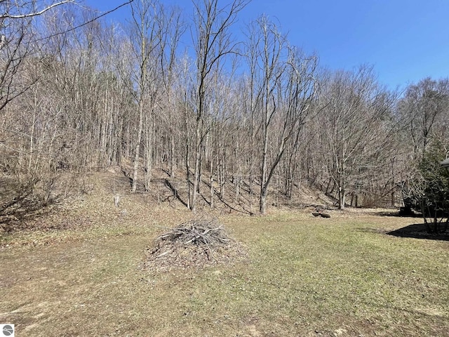 10978 Platte St, Honor, MI 49640 - view of local wilderness