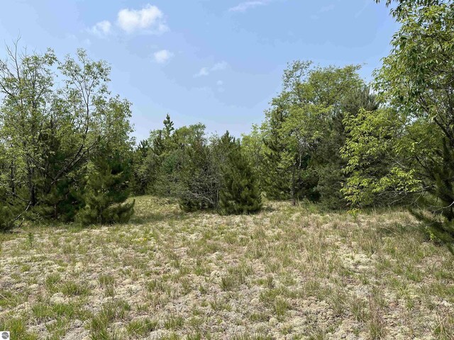 S Westwood, Mancelona, MI 49646