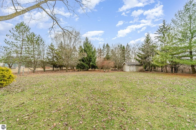 7888 E Broomfield Rd, Mount Pleasant, MI 48858 - view of yard with a shed and an outbuilding