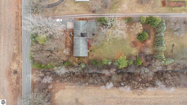7888 E Broomfield Rd, Mount Pleasant, MI 48858 - bird's eye view