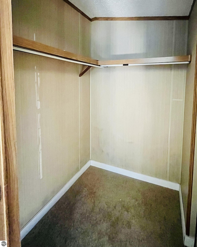 walk in closet with carpet