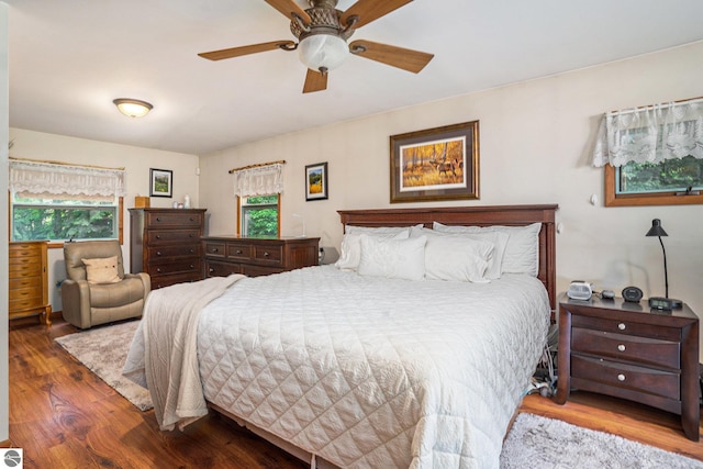 bedroom featuring wood finished floors, a ceiling fan, and multiple windows