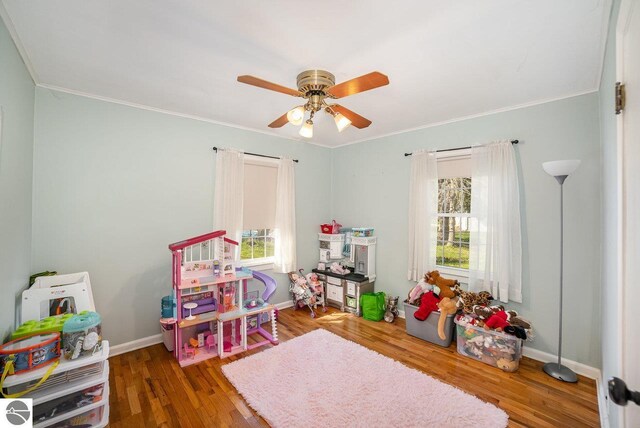 1016 Argyle Ct, Alma, MI 48801 - recreation room with wood finished floors, plenty of natural light, ornamental molding, and a ceiling fan