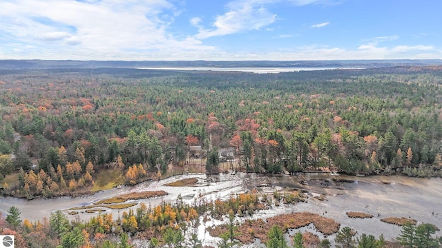 6836 NW Aarwood Trl, Rapid City, MI 49676 - aerial view featuring a view of trees
