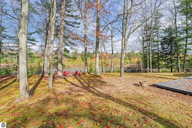 6836 NW Aarwood Trl, Rapid City, MI 49676 - view of yard