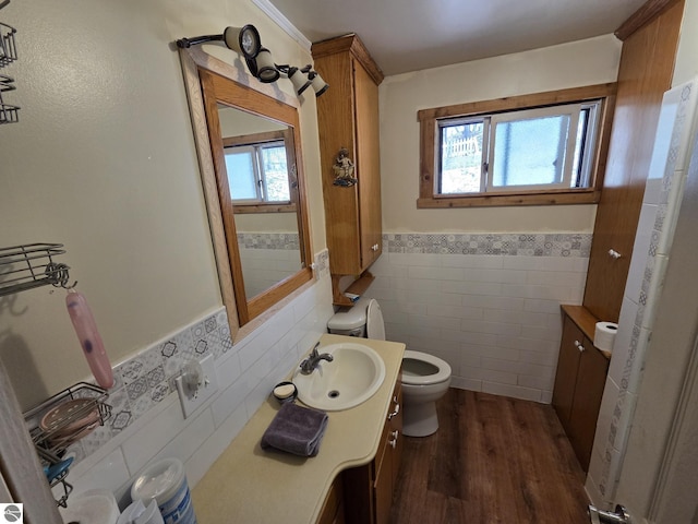 4280 Birch St, Lake, MI 48632 - half bathroom with tile walls, toilet, a wainscoted wall, wood finished floors, and vanity