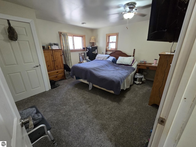4280 Birch St, Lake, MI 48632 - view of carpeted bedroom
