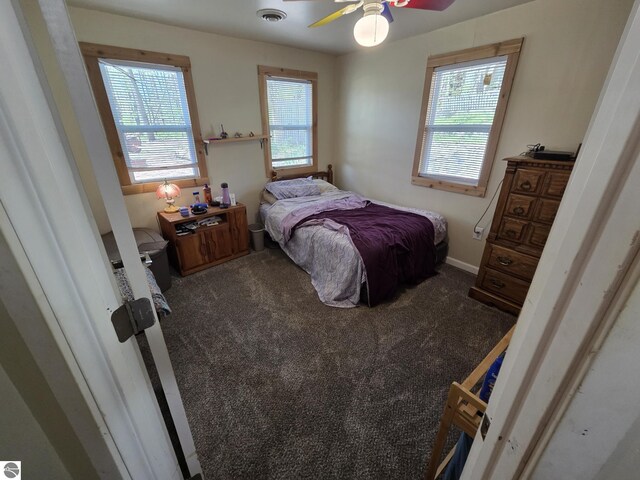 4280 Birch St, Lake, MI 48632 - bedroom with multiple windows, carpet, and a ceiling fan