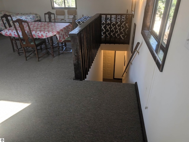 stairway featuring carpet floors