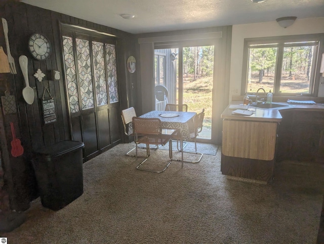 carpeted dining room featuring a sink
