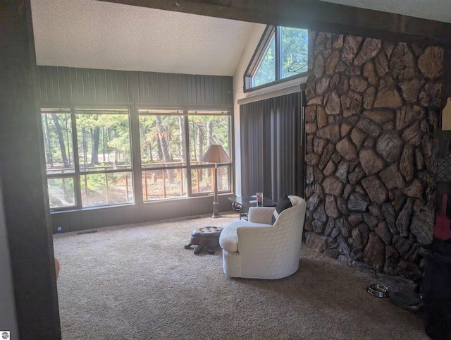 sitting room with carpet flooring, a textured ceiling, and lofted ceiling