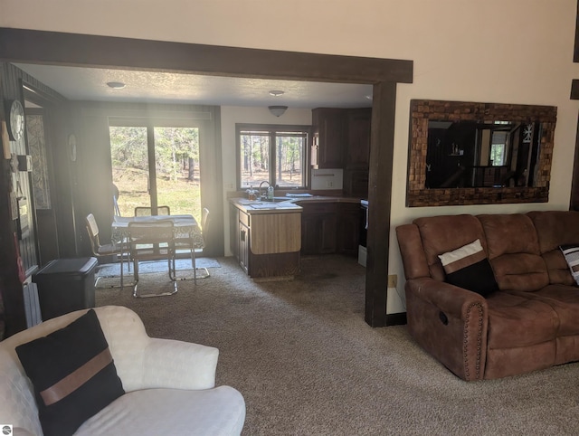 living area featuring light carpet and a wealth of natural light