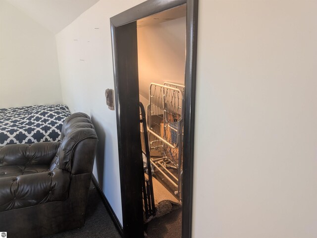 bedroom with carpet flooring