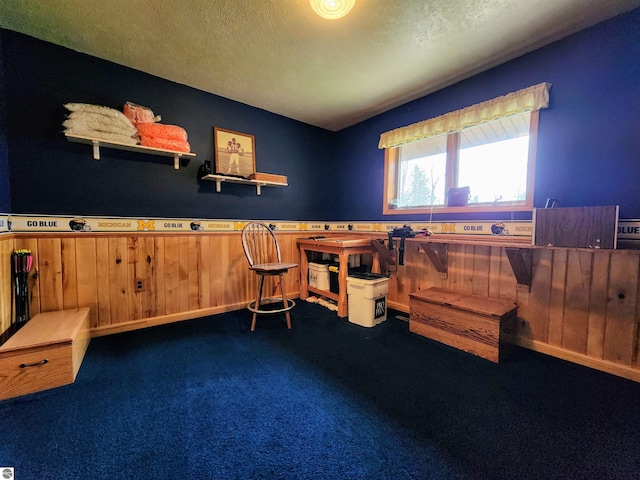 interior space with carpet flooring, a textured ceiling, and a wainscoted wall