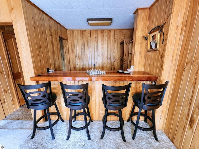 bar featuring indoor wet bar, carpet flooring, and wood walls