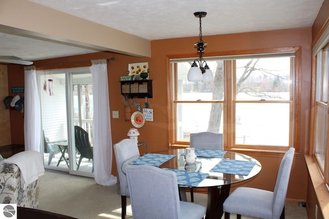 dining room featuring carpet floors and a healthy amount of sunlight