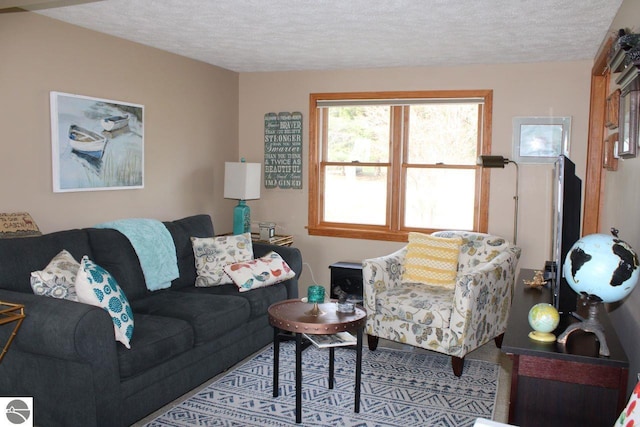 living room featuring a textured ceiling