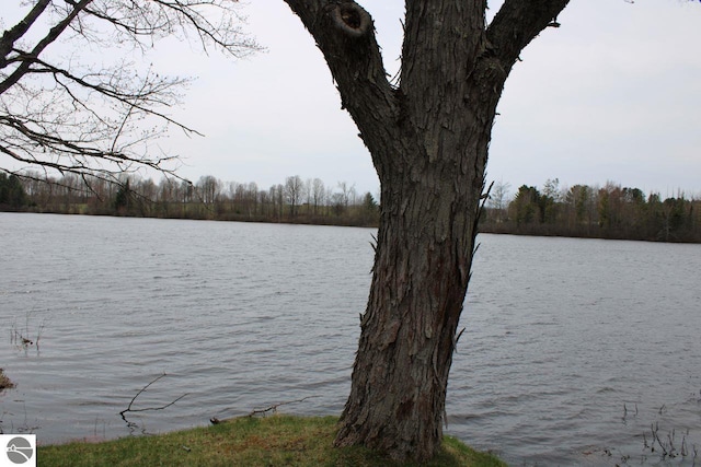 water view with a wooded view