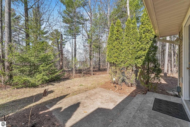 view of yard with a patio