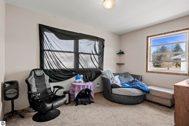 2280 NW Tamara Rd, Kalkaska, MI 49646 - sitting room with carpet floors