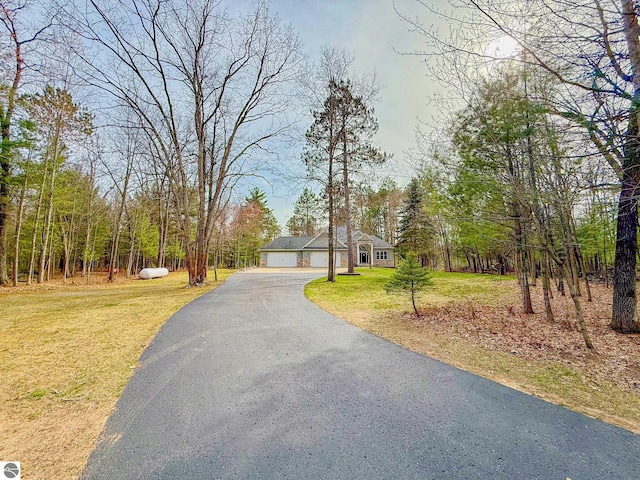 view of road with driveway