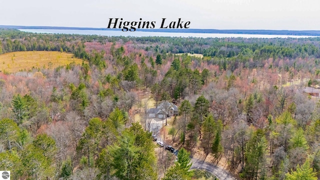 aerial view featuring a water view and a view of trees