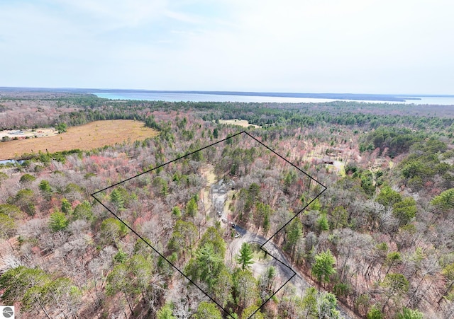 aerial view with a view of trees