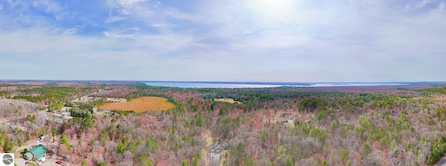 drone / aerial view with a view of trees