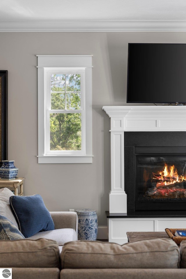 living area featuring crown molding and a warm lit fireplace