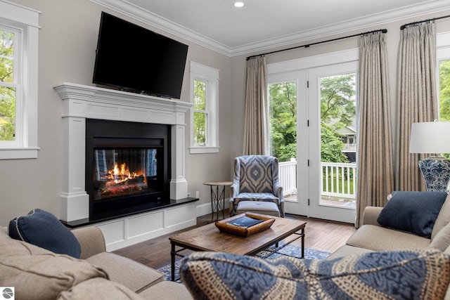 living area with a glass covered fireplace, ornamental molding, recessed lighting, and wood finished floors