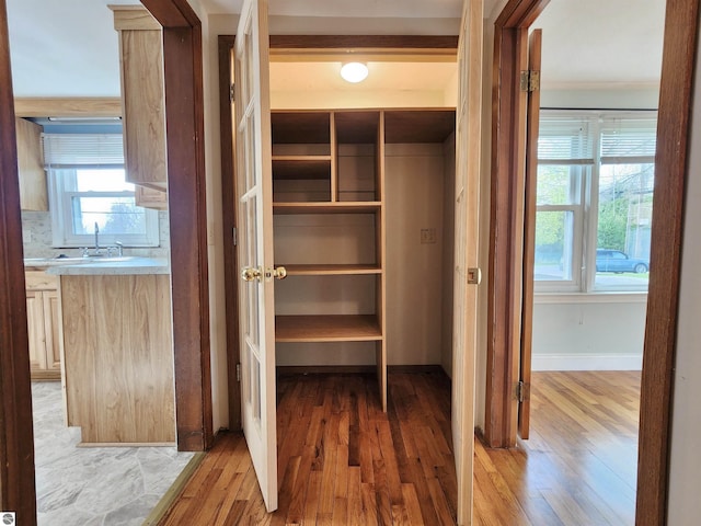 closet featuring a sink