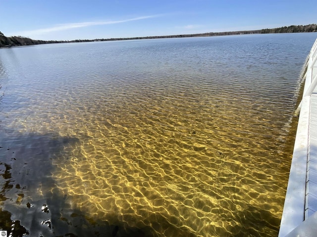 5449 E Shore Dr NE, Kalkaska, MI 49646 - water view