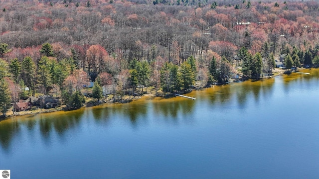 5449 E Shore Dr NE, Kalkaska, MI 49646 - water view with a heavily wooded area
