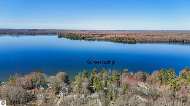 5449 E Shore Dr NE, Kalkaska, MI 49646 - water view