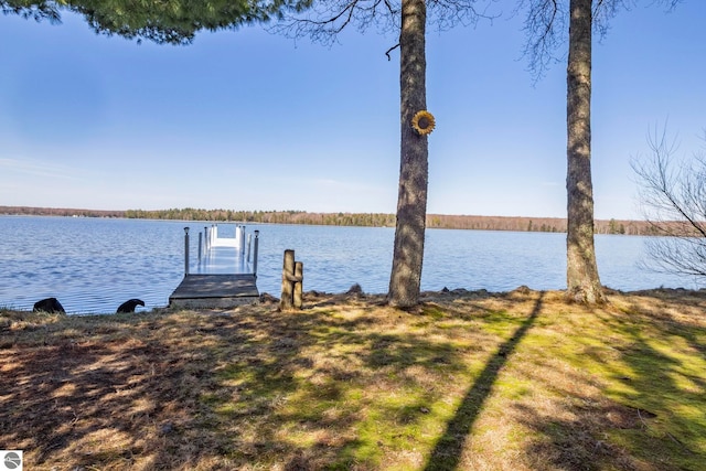 5449 E Shore Dr NE, Kalkaska, MI 49646 - dock with a water view
