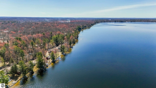 5449 E Shore Dr NE, Kalkaska, MI 49646 - aerial view of property and surrounding area with a heavily wooded area and a nearby body of water