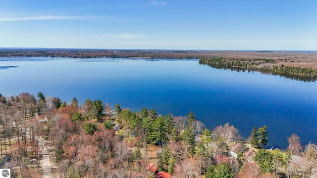 5449 E Shore Dr NE, Kalkaska, MI 49646 - water view