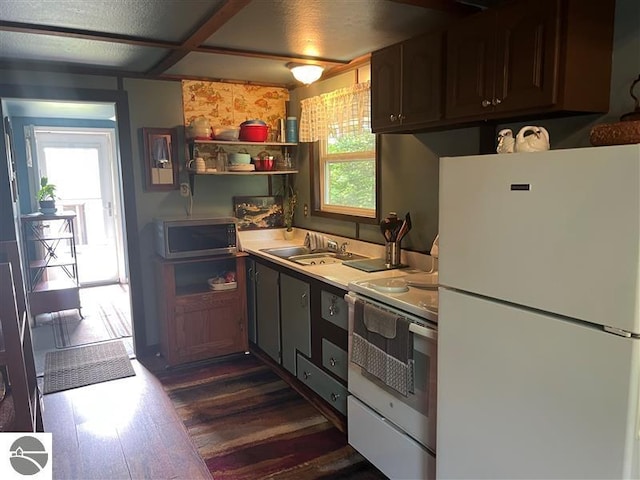 kitchen with a sink, white appliances, dark wood-style floors, and a wealth of natural light