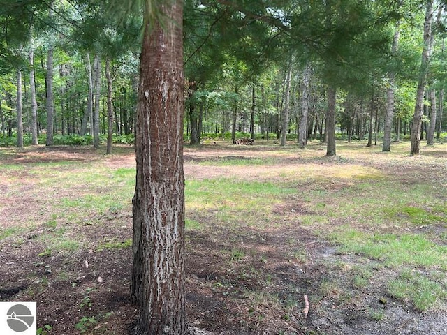 view of yard with a wooded view