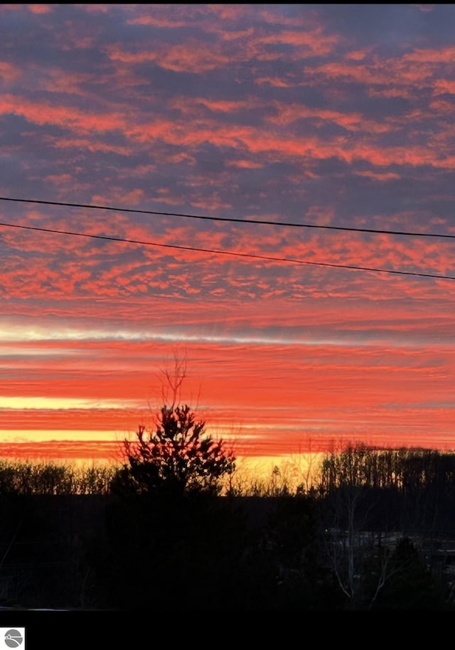 775 S 2nd St, Harrison, MI 48625 - view of nature at dusk