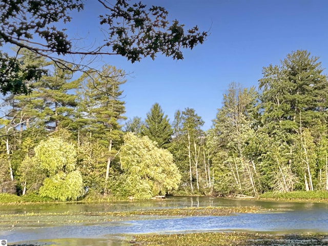 property view of water featuring a forest view