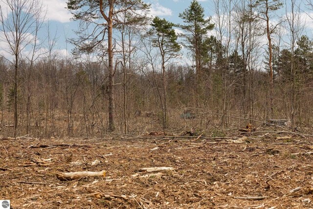 0 M-37, Buckley, MI 49620