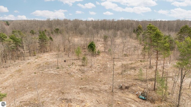 0 M-37, Buckley, MI 49620
