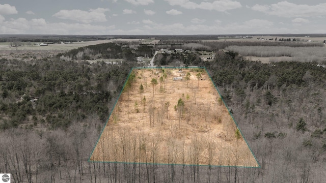 0 M-37, Buckley, MI 49620