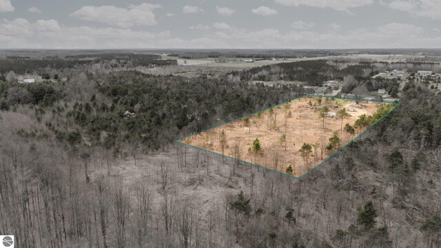 0 M-37, Buckley, MI 49620