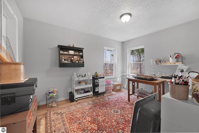 9916 S M-37, Buckley, MI 49620 - office with baseboards, a textured ceiling, and wood finished floors