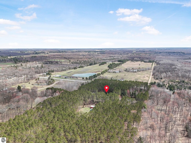 9916 S M-37, Buckley, MI 49620 - bird's eye view