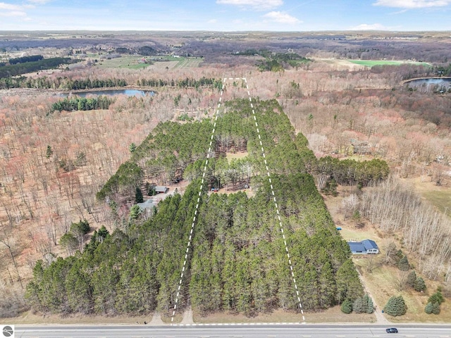 9916 S M-37, Buckley, MI 49620 - drone / aerial view featuring a water view